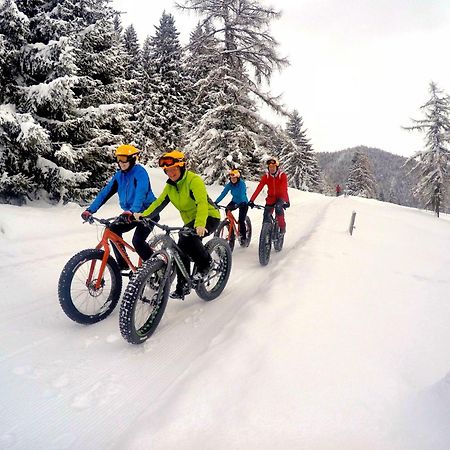 Bio-Holzhaus Und Landhaus Heimat Ramsau am Dachstein Eksteriør billede