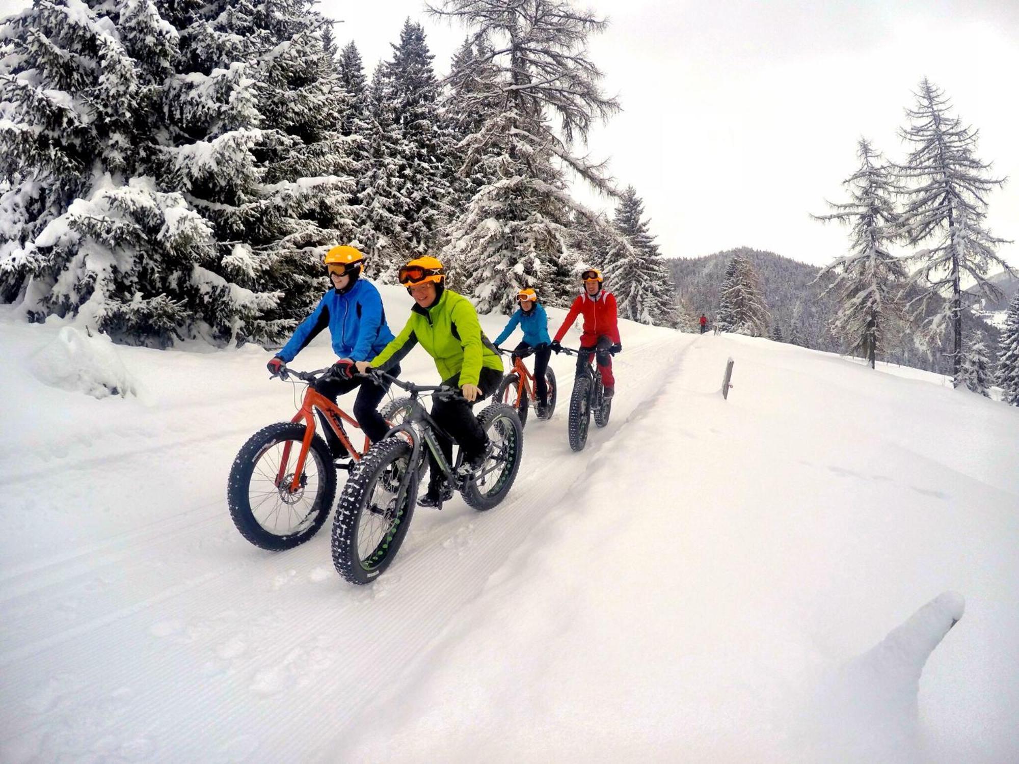 Bio-Holzhaus Und Landhaus Heimat Ramsau am Dachstein Eksteriør billede