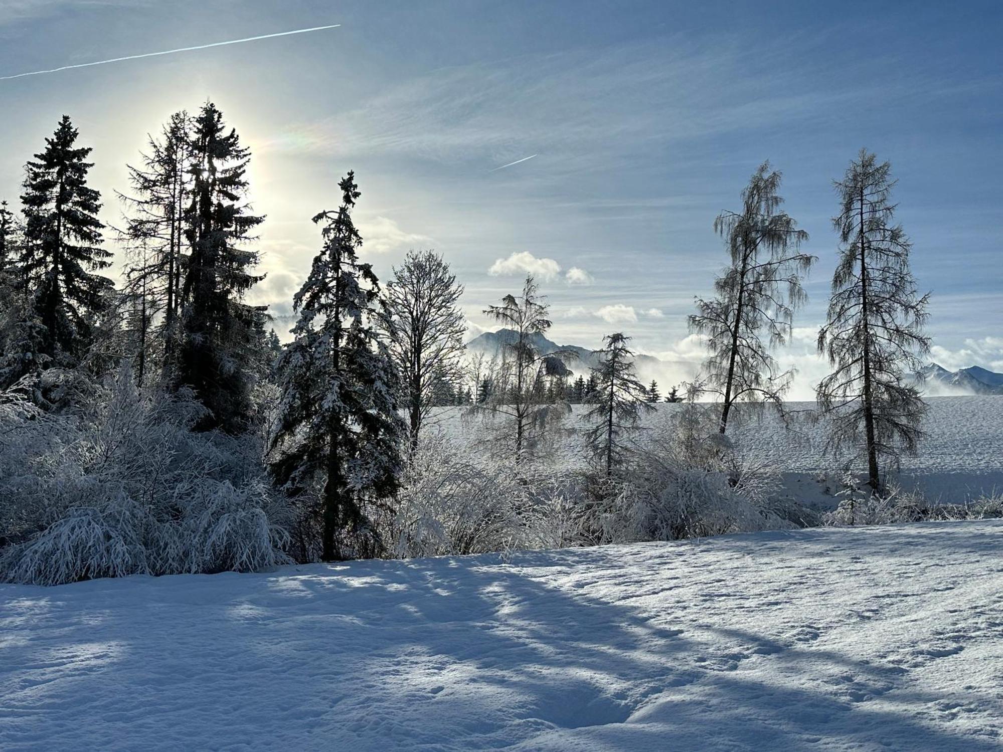 Bio-Holzhaus Und Landhaus Heimat Ramsau am Dachstein Eksteriør billede