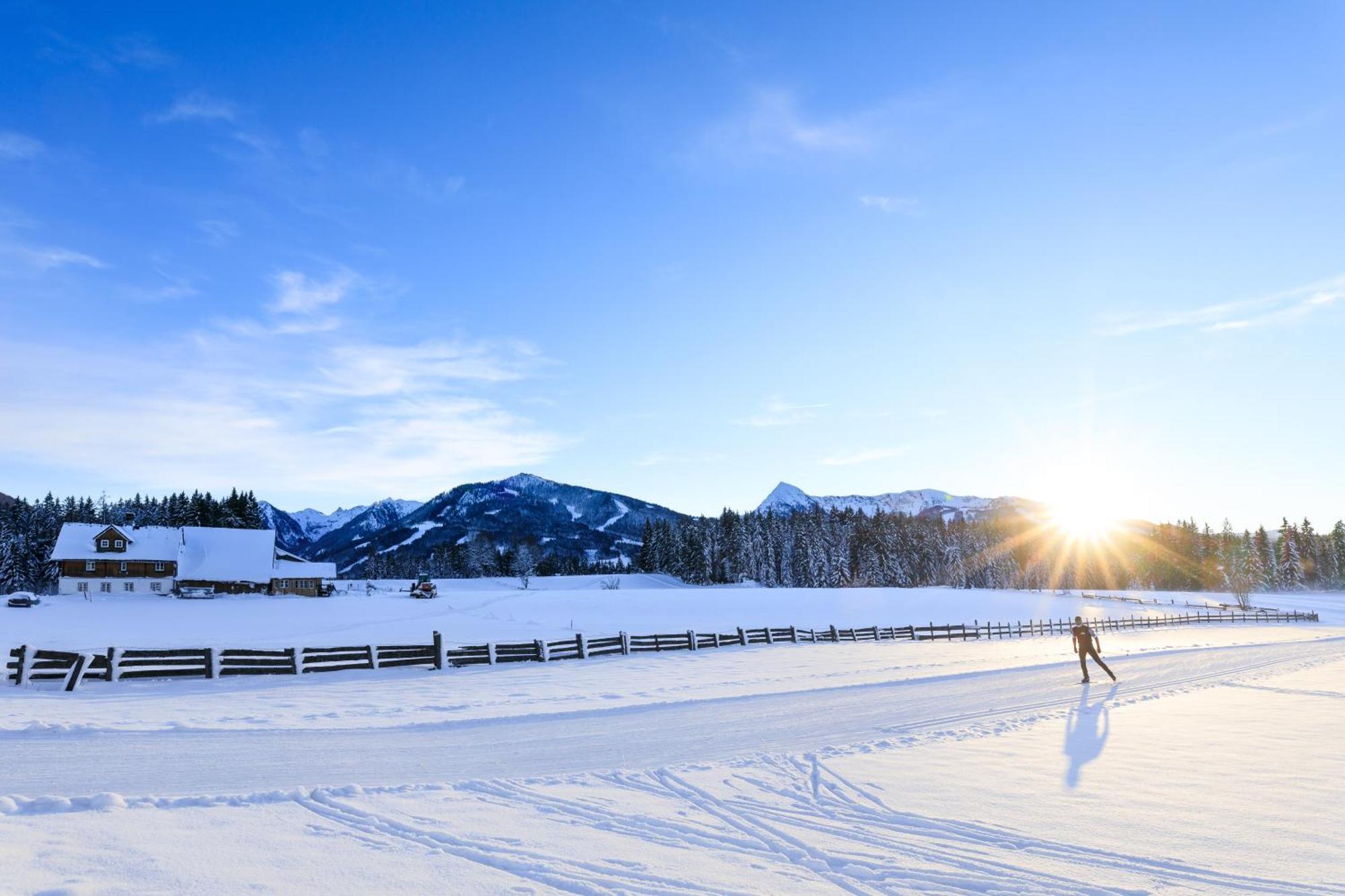 Bio-Holzhaus Und Landhaus Heimat Ramsau am Dachstein Eksteriør billede