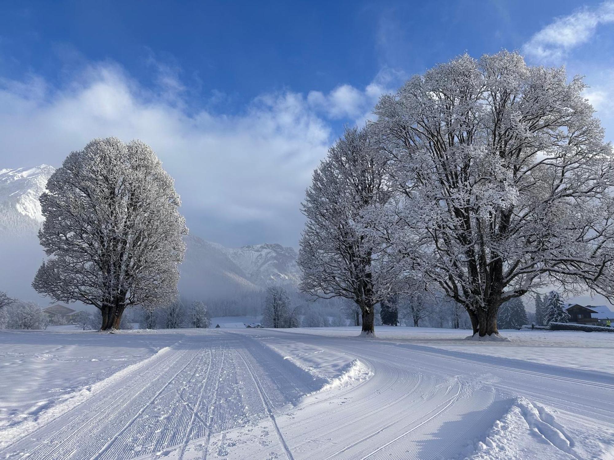 Bio-Holzhaus Und Landhaus Heimat Ramsau am Dachstein Eksteriør billede