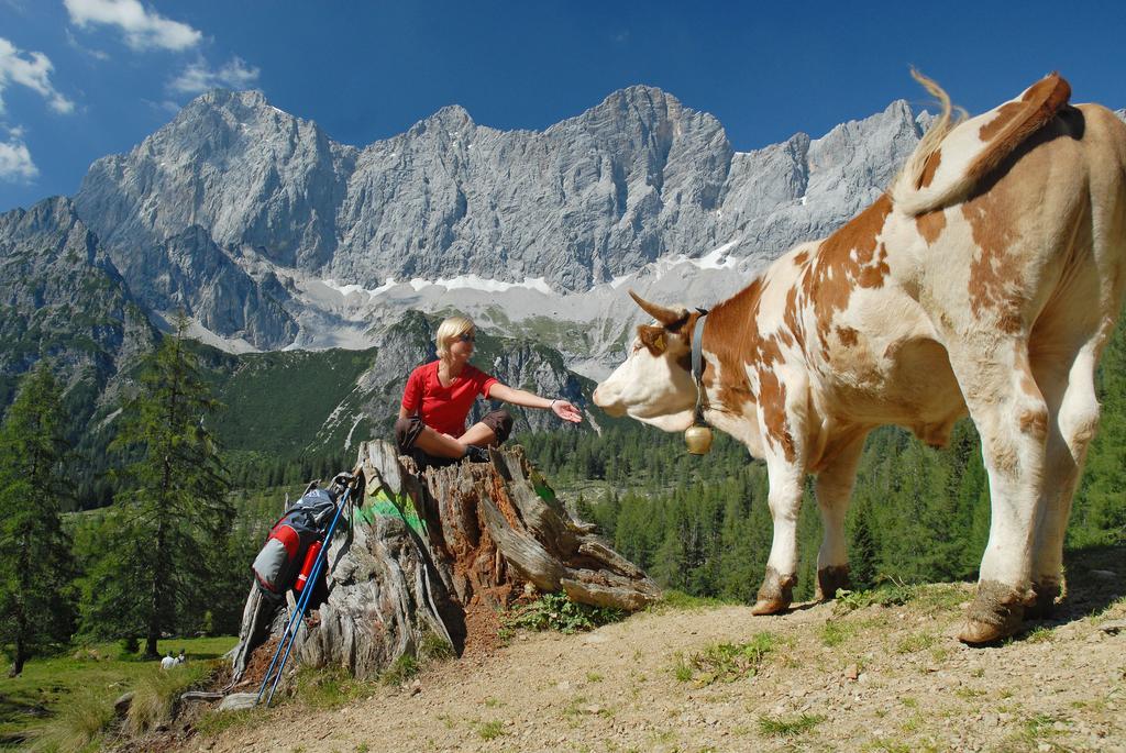 Bio-Holzhaus Und Landhaus Heimat Ramsau am Dachstein Eksteriør billede