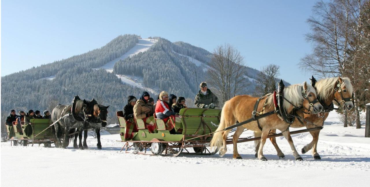 Bio-Holzhaus Und Landhaus Heimat Ramsau am Dachstein Eksteriør billede